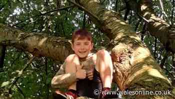 Family will 'never forget' boy, 11, who tragically died in bus crash