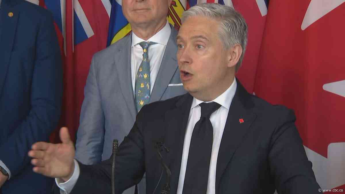 Canada and U.S. will share 'net proceeds' from Gordie Howe bridge: finance minister