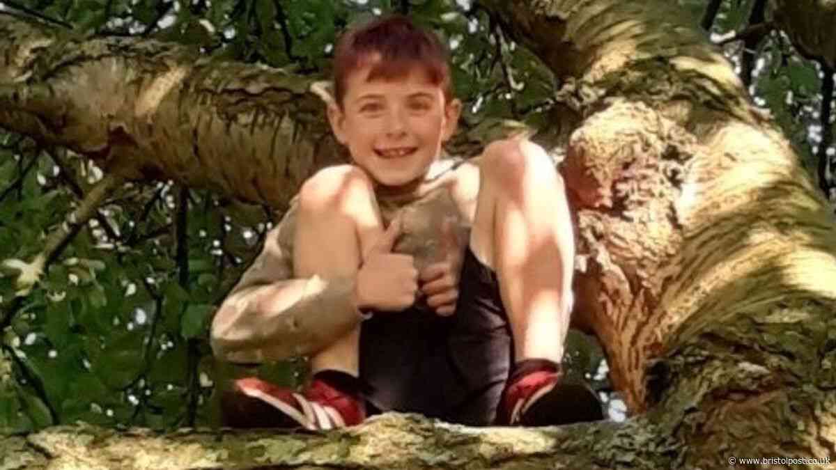 Child, 11, dies after he's hit by bus 'trying to get to mum'