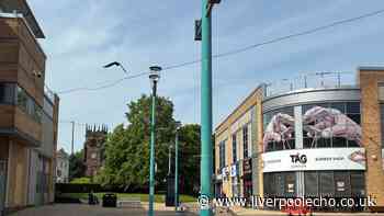 Bank rejects call for banking hub in Huyton
