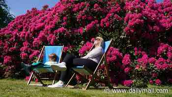 No-dodendron! Garden centre visitors urged to report stores still selling damaging invasive plant