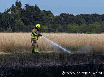 Meerdere vierkante meters riet in brand
