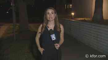 'I knew it was on me': Video shows reporter power through live report as cockroach crawls on her