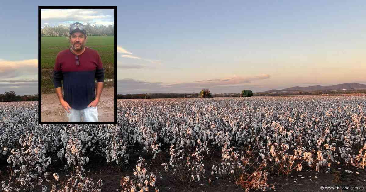 Chicken manure and centre pivots: yields lift even after tap 'switches off'