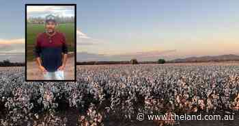 Chicken manure and centre pivots: yields lift even after tap 'switches off'