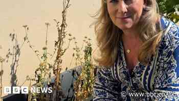 Forecaster on when it might next rain in the West