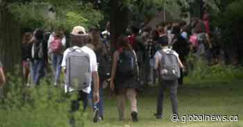 Ontario school board conducts bullying survey after student death