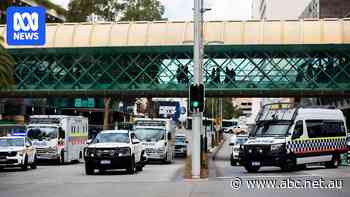 Scars of alleged Invasion Day terror attack run deep six months on