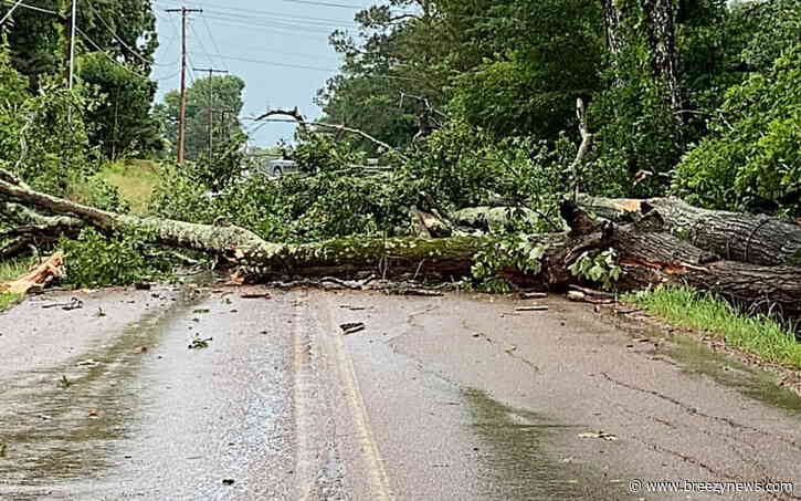 Downed Tree Causes Crash on Natchez Trace in Attala Early Wednesday Morning
