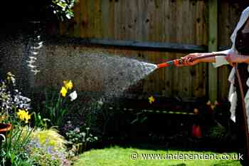 Hosepipe ban exemptions: All the ways Britons can legally ignore restrictions