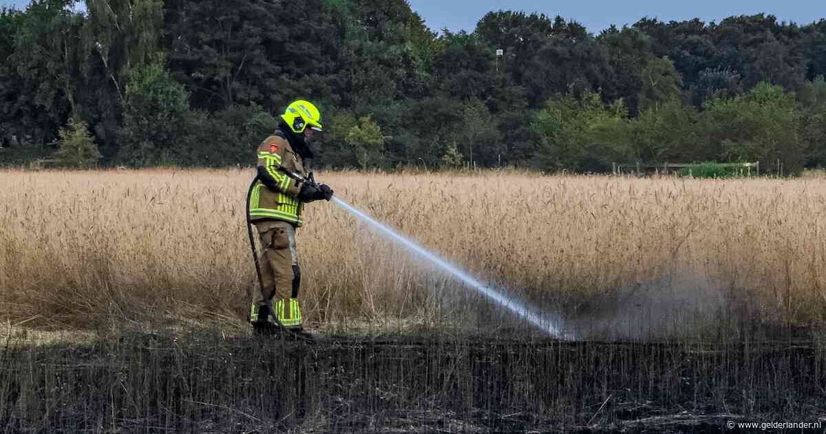 Groot akkerveld in vlammen opgegaan in Alverna