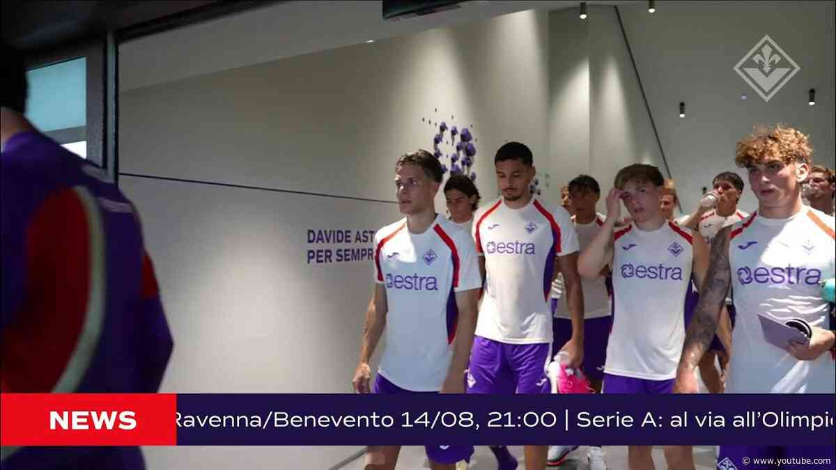 VIOLA DAILY LIVE - 15 LUGLIO 2026