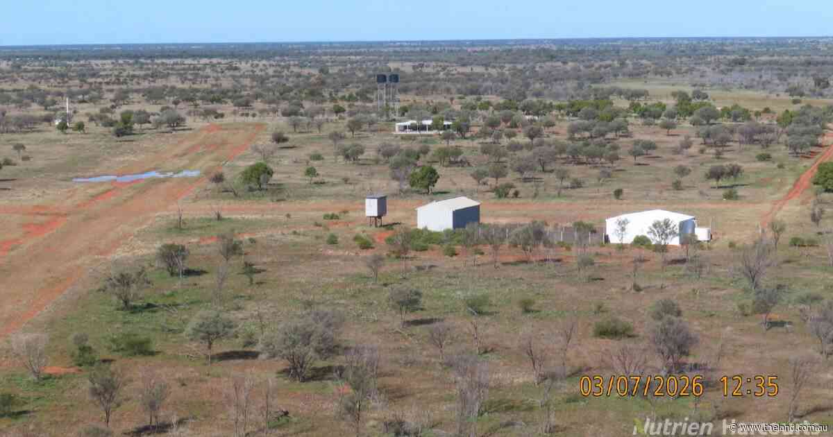 Excellent season drives big interest in 200,000-acre plus station | Photos