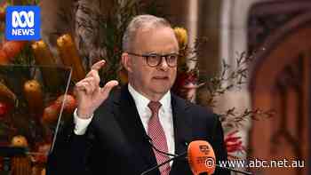 Albanese rolls out rule book and red carpet for AI companies