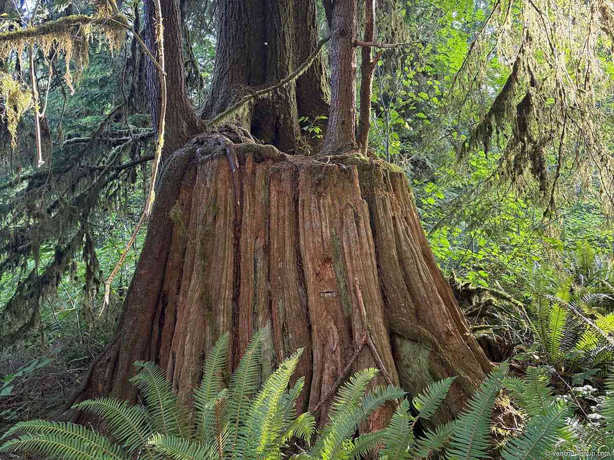 Metro Vancouver expands popular Minnekhada park in Coquitlam