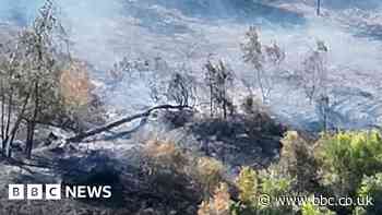 Wildfire warnings after heathland destroyed