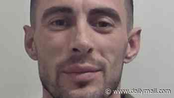 Albanian serial burglar who returned to Britain each winter to steal from more victims is jailed for ten years