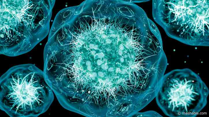 Cyclospora parasite outbreak: Symptoms, how to check cases in your area online