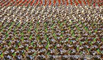 Trump willing to wipe out the IRGC as he did ISIS