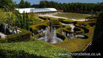North East attraction to celebrate 25 years with concert against a backdrop of nature and cascading water