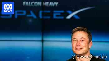 Live: ASX rises as SpaceX shares see $1 trillion wiped