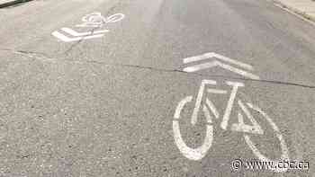 Alberta government launches web portal taking complaints on bike lanes