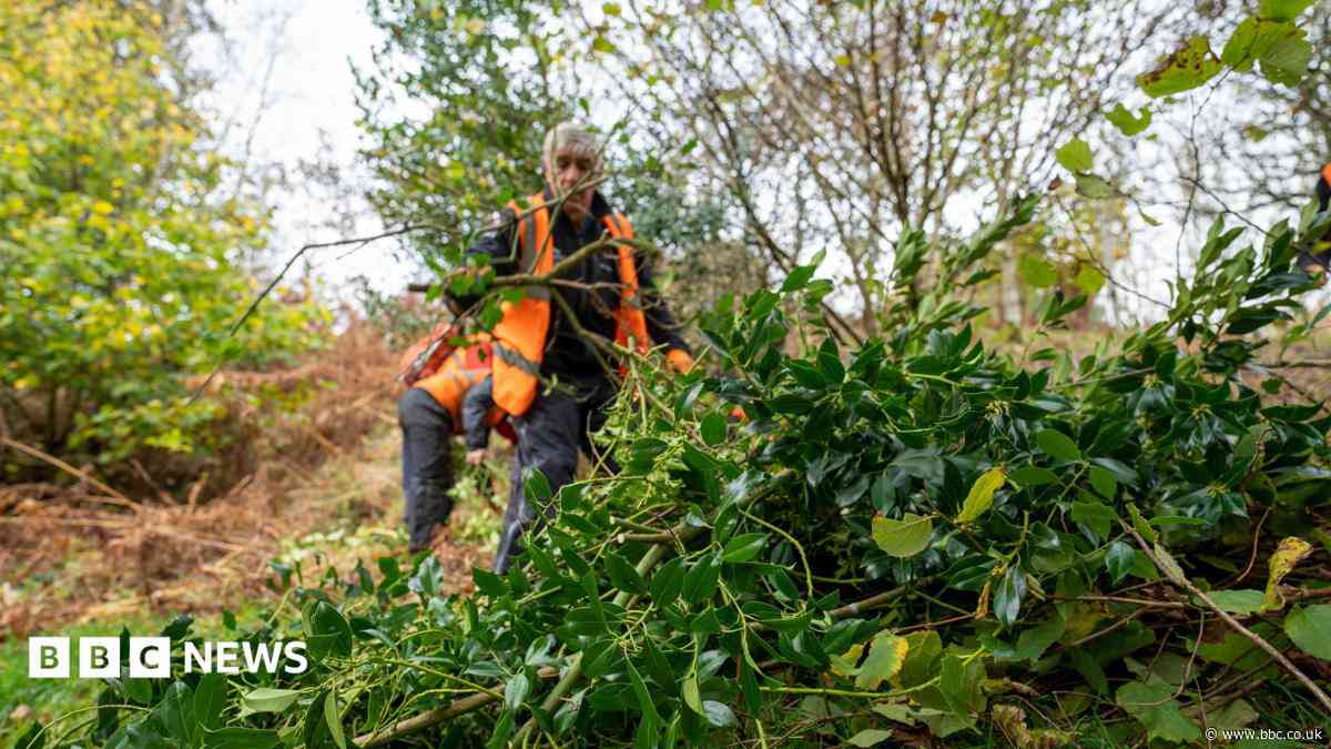 National park secures volunteer programme funding