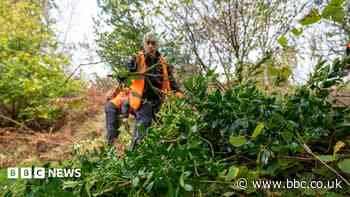 National park secures volunteer programme funding