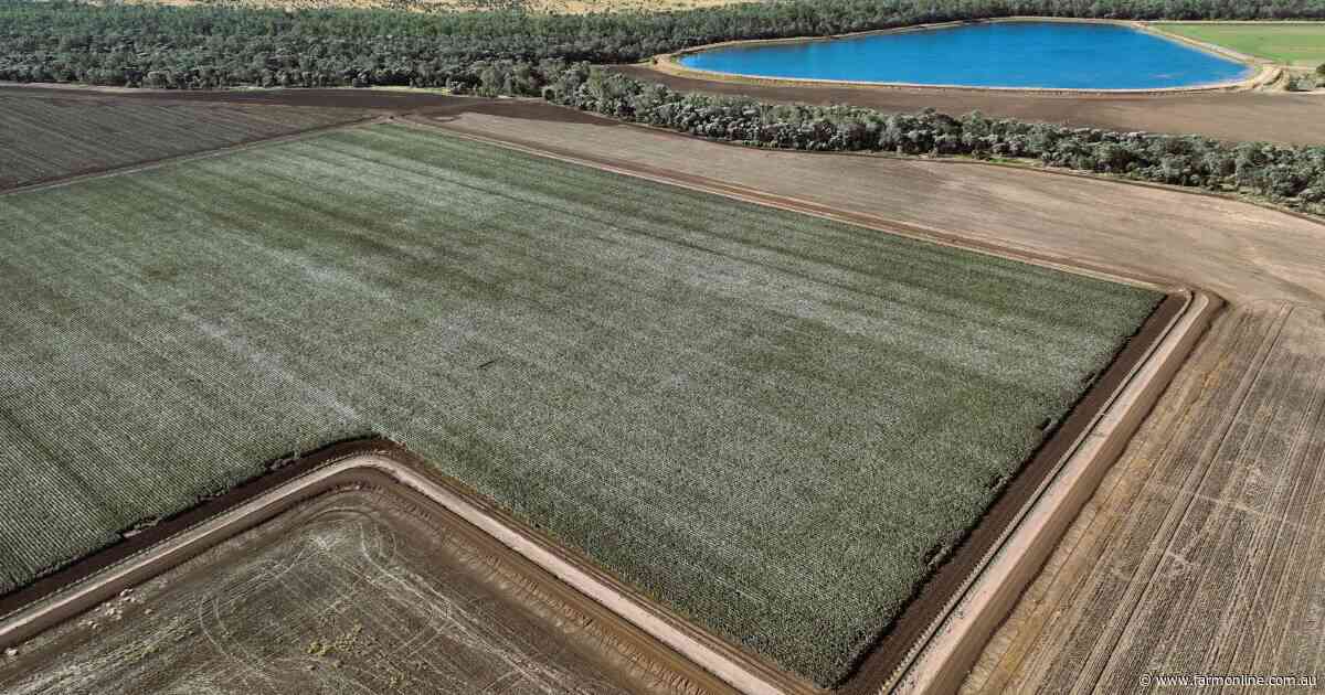 Prime irrigation, dryland farming property underpinned by secure water