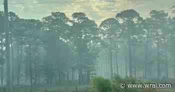Brunswick County wildfire over halfway contained, N.C. Forest Service says