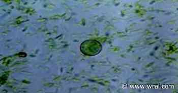 Some school districts make changes to cafeteria menus amid rise in cyclosporiasis cases
