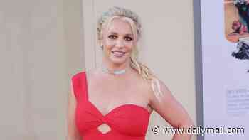 Britney Spears brazenly posts selfie video with driver after breaking silence on THAT horrifying car stunt
