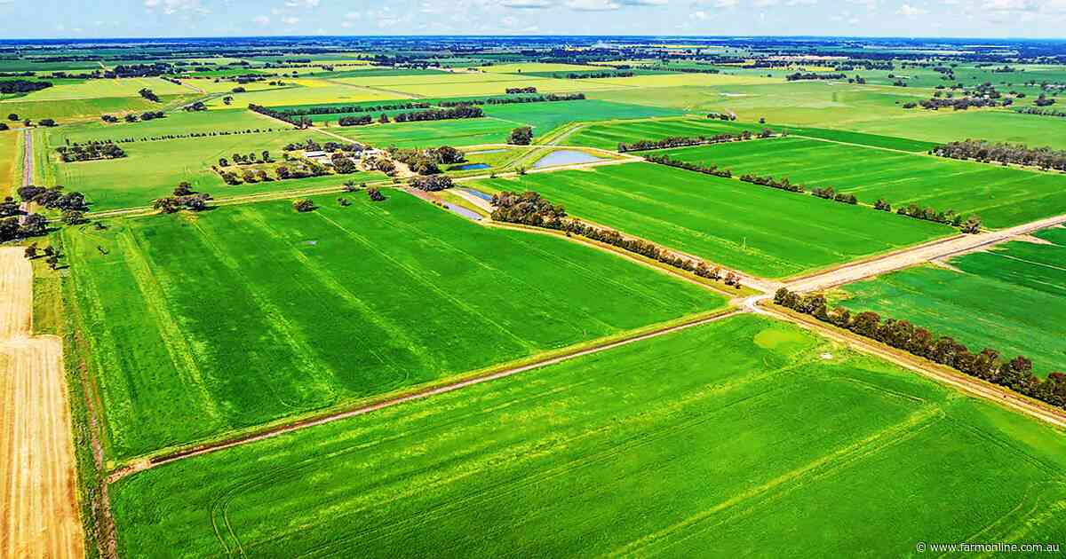 Patience pays dividends for owner of irrigated farm in northern Victoria