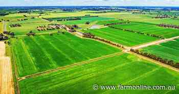 Patience pays dividends for owner of irrigated farm in northern Victoria