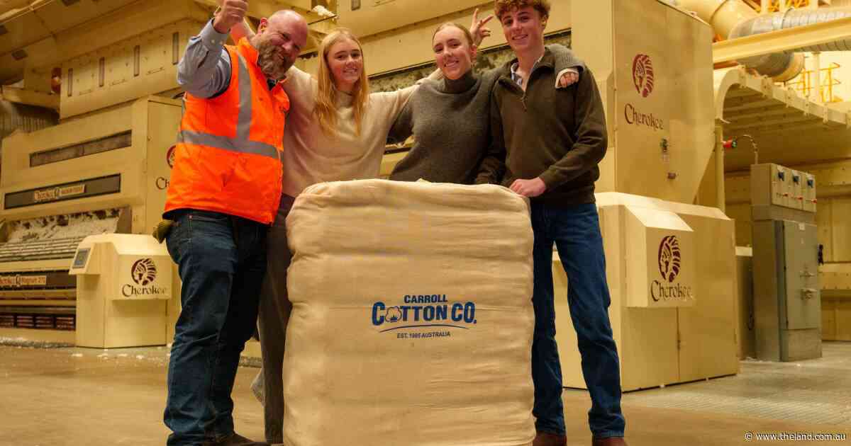 Enough for 8.6 billion pairs of socks: local gin marks massive milestone