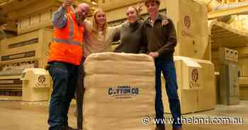 Enough for 8.6 billion pairs of socks: local gin marks massive milestone