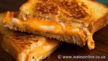 Cheese toasties taste better if you swap butter for better kitchen ingredient