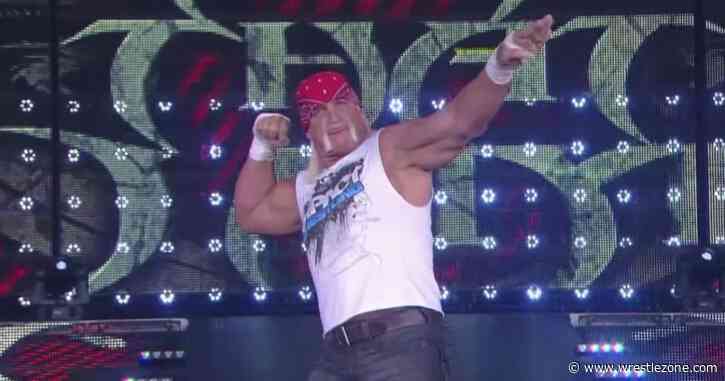Jeff Jarrett Blames Hulk Hogan For TNA’s Financial Death Spiral