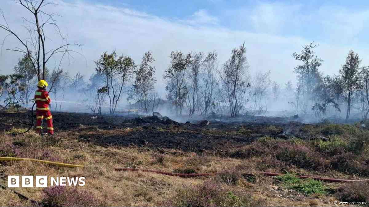 Council issues warning over summer wildfires