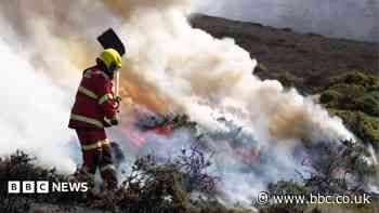 Wildfires burn in parts of UK as fire chiefs warn of extreme pressure