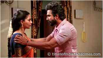 'Gatta Kusthi 2' mints Rs 38.50 crore India gross
