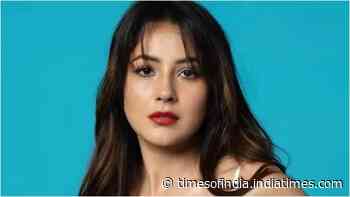 Shehnaaz Gill's sharp reply on therapy sparks debate