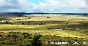 Thomas family offloads big Mid North sheep property after 48 years