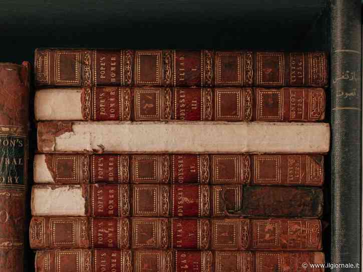 Dal buio del cinema alle nostre librerie, il viaggio di un classico