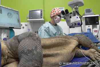 Il opère un dragon de Komodo d’une cataracte : ce vétérinaire varois raconte cette intervention « lunaire » qui est une première en France
