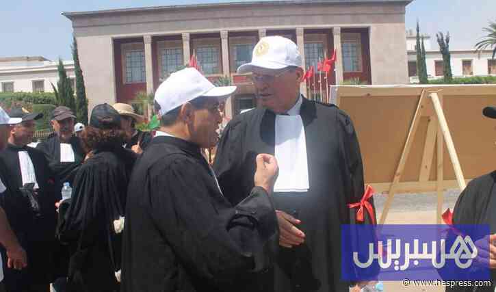 الهيني يستعرض أوجه العيوب الدستورية في قانون تنظيم مهنة المحاماة