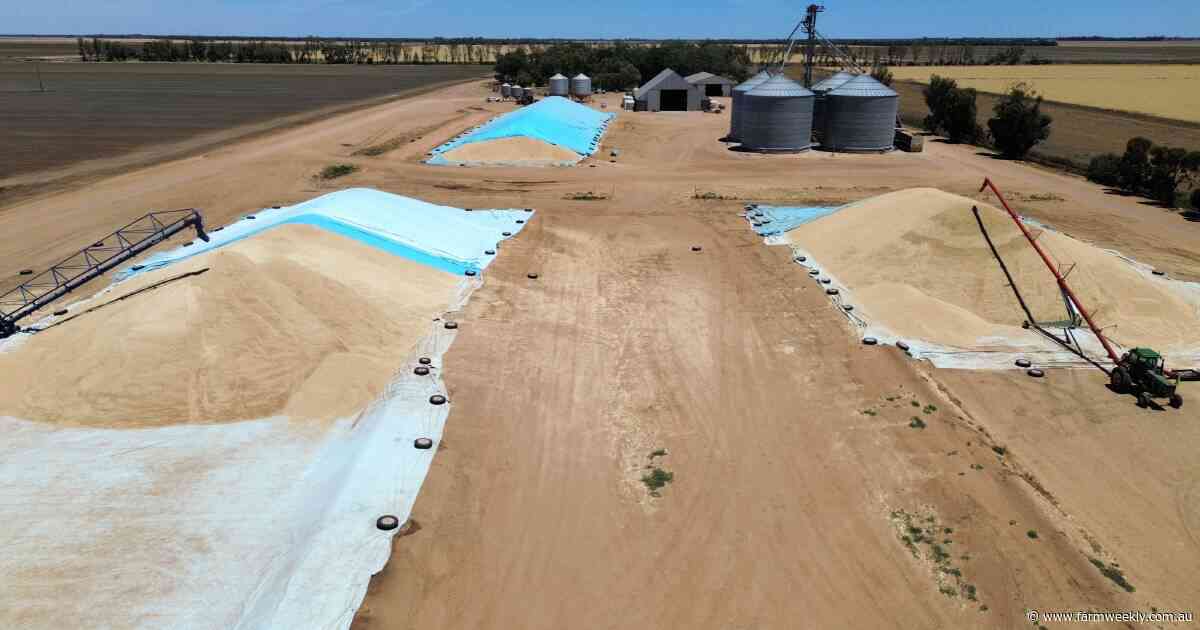 New player in WA offers growers more on-farm storage and fumigation options