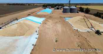 New player in WA offers growers more on-farm storage and fumigation options