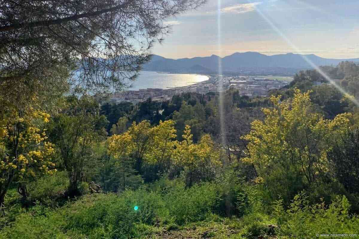 Les Alpes-Maritimes maintenues en vigilance jaune aux orages et à la canicule, jusqu’à 37 °C attendus dans les terres : voici la météo de votre jeudi