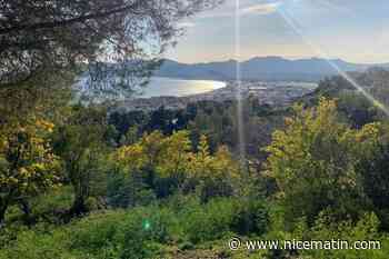 Les Alpes-Maritimes maintenues en vigilance jaune aux orages et à la canicule, jusqu’à 37 °C attendus dans les terres : voici la météo de votre jeudi